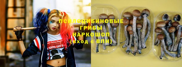 тгк Баксан