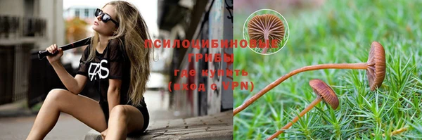 тгк Баксан