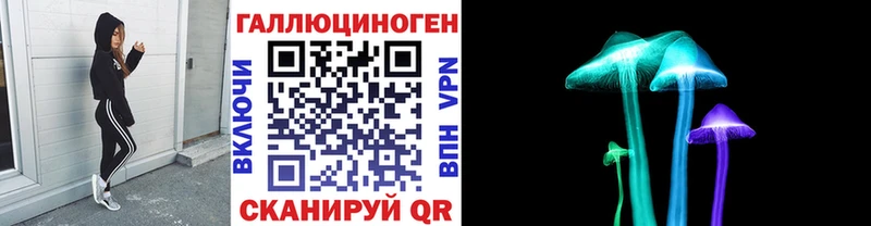 Псилоцибиновые грибы Psilocybine cubensis дарнет шоп Малгобек